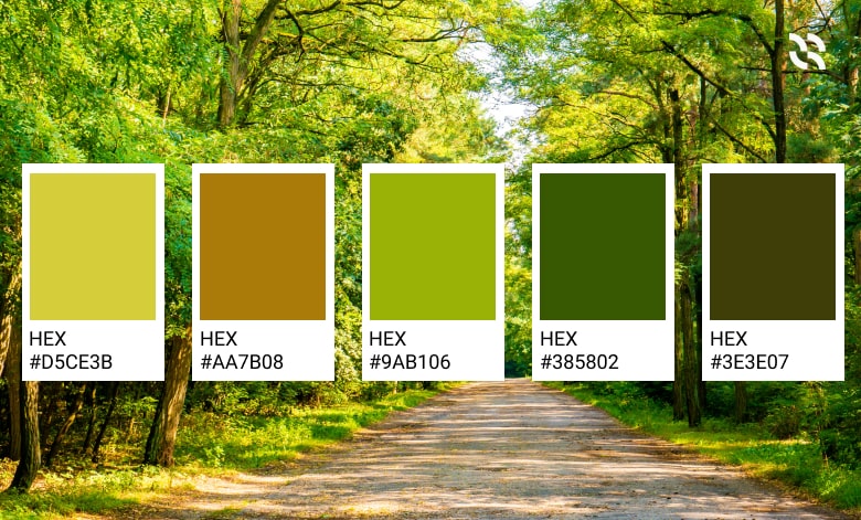 Be Eco-Friendly with Nature-Based PowerPoint Color Palette