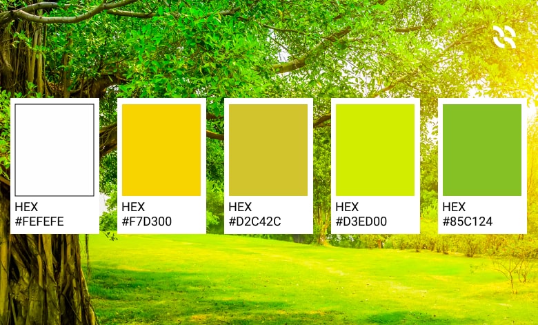 krybdyr buket Kejserlig Be Eco-Friendly with Nature-Based PowerPoint Color Palette