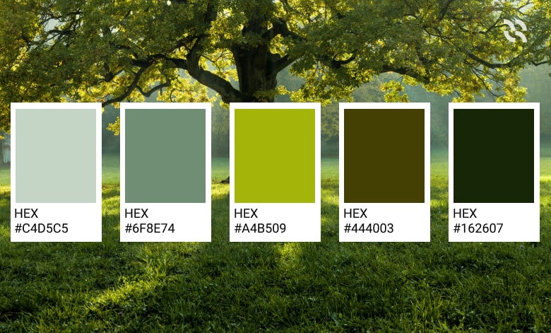 Nature-Based PowerPoint Color Palette